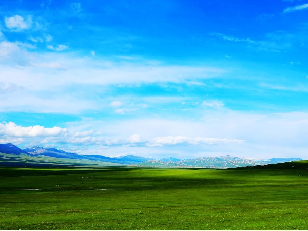 喆能新疆電磁采暖招商加盟活動(dòng)火熱進(jìn)行中